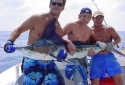 Nice White Marlin Nice White Marlin