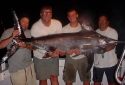 150lbs swordfish 150lbs swordfish