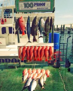 fishing in destin florida