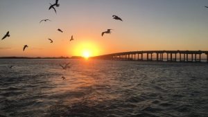 Destin Fishing Blog