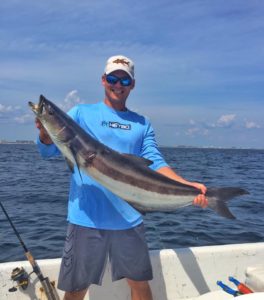 Cobia Fishing Picture