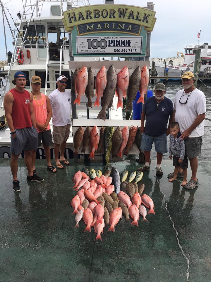 red snapper fish near me