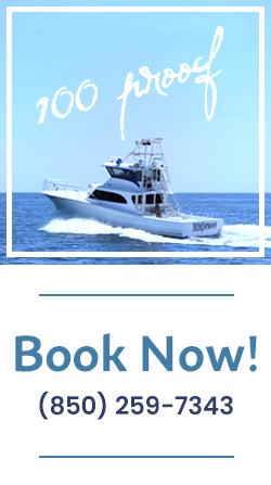 Book your fishing trip today!